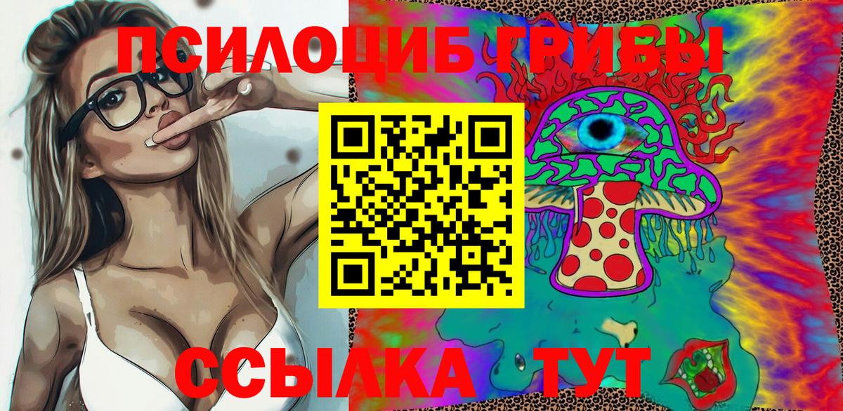 как найти наркотики  Галлюциногенные грибы Psilocybine cubensis  Вход с VPN  Зима 