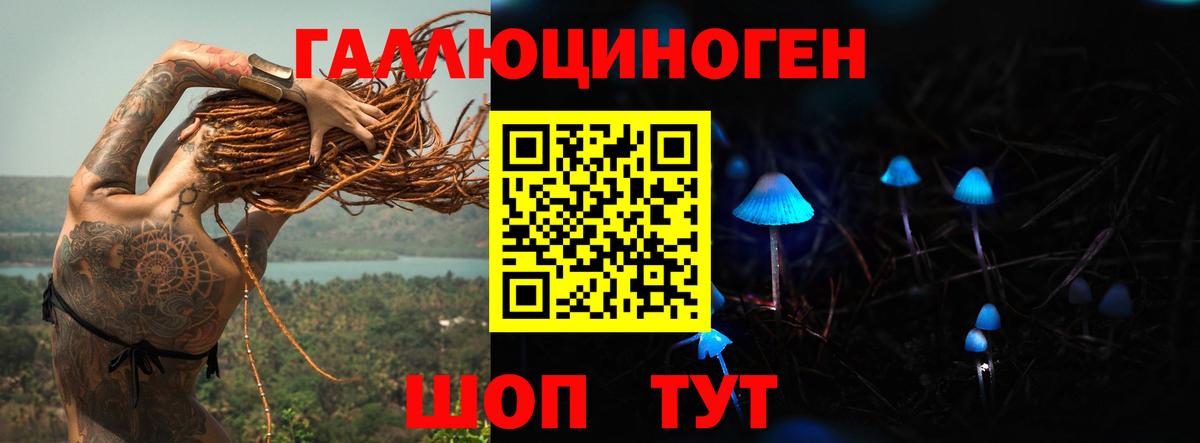 Псилоцибиновые грибы прущие грибы Зима