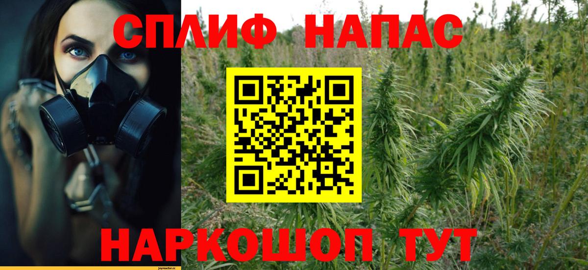Бошки Шишки индика  Конопля Bruce Banner  Вход с VPN  Зима  Конопля семена 